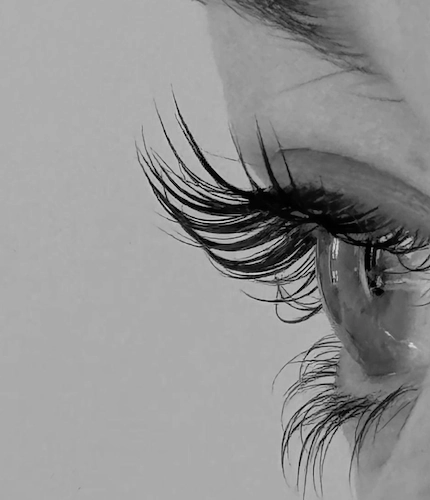 Brow and Lash Services